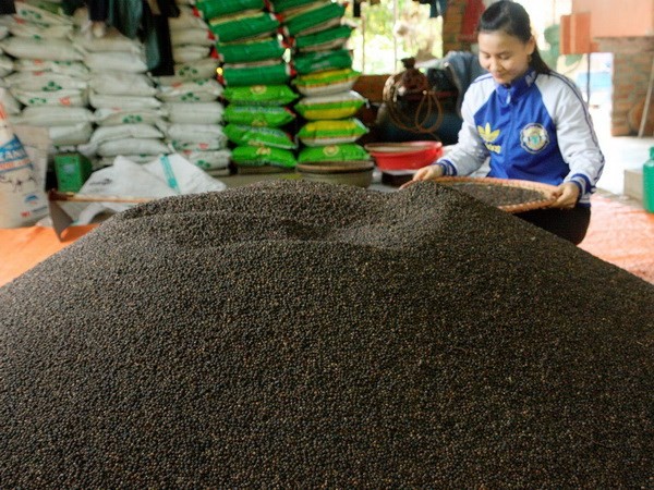 Vietnam remains world’s top pepper exporter - ảnh 1